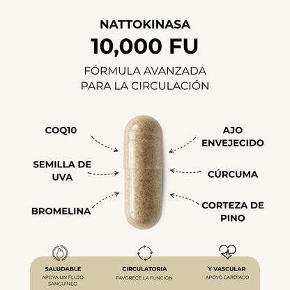 PuraDerma Nattokinasa - Apoyo Avanzado para la Circulación