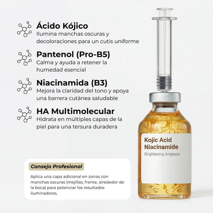 El Bundle de Transformación