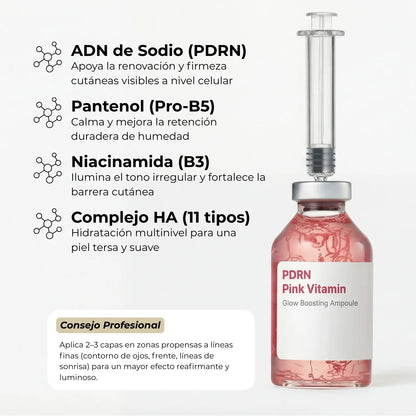 El Bundle de Transformación