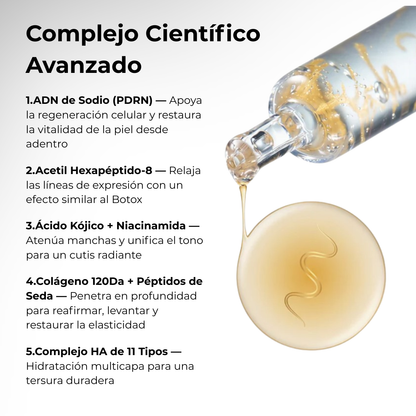 El Bundle de Transformación