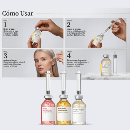 El Bundle de Transformación